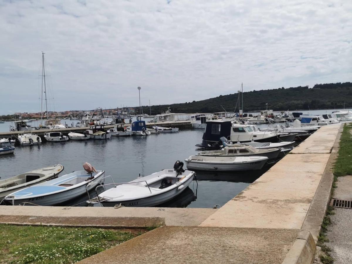 Black Pearl - Luxury Seaside App With Pool & Bbq, Istra Banjole Exterior foto