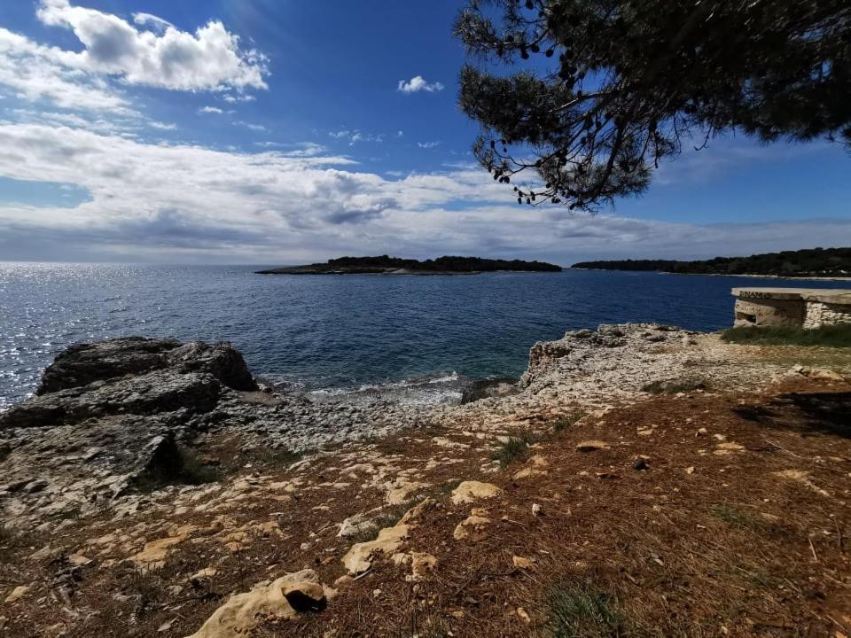 Black Pearl - Luxury Seaside App With Pool & Bbq, Istra Banjole Exterior foto